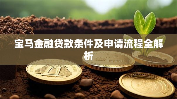宝马金融贷款条件及申请流程全解析