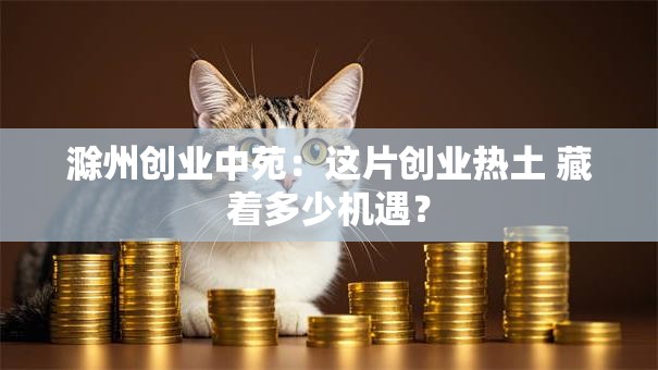 滁州创业中苑：这片创业热土 藏着多少机遇？