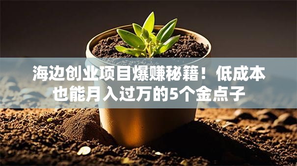 海边创业项目爆赚秘籍！低成本也能月入过万的5个金点子