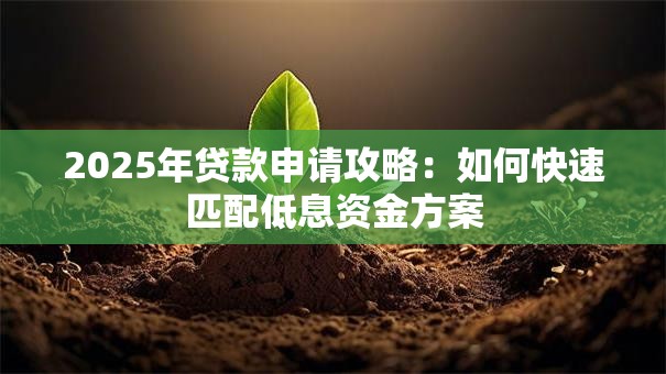 2025年贷款申请攻略：如何快速匹配低息资金方案