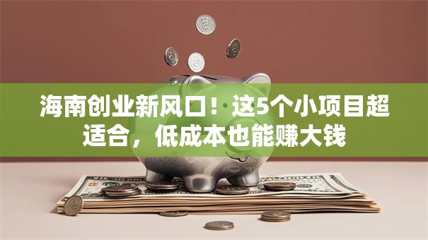 海南创业新风口！这5个小项目超适合，低成本也能赚大钱