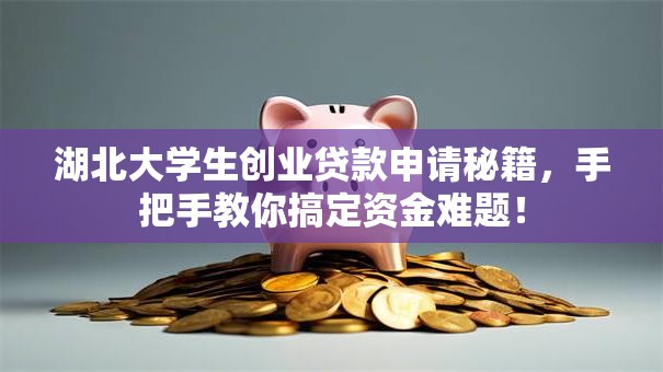 湖北大学生创业贷款申请秘籍，手把手教你搞定资金难题！