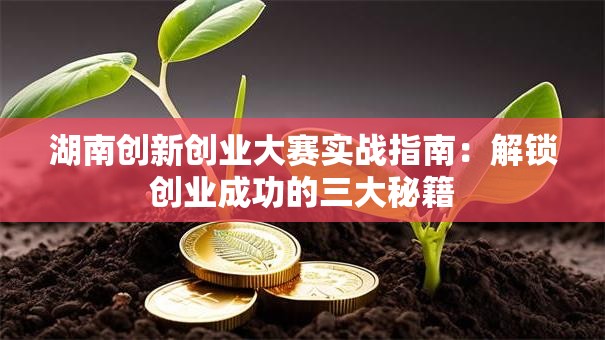 湖南创新创业大赛实战指南：解锁创业成功的三大秘籍