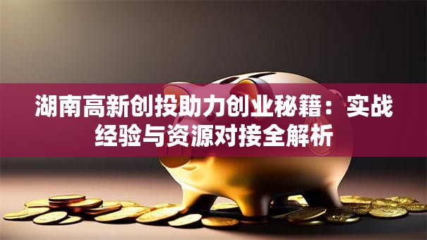 湖南高新创投助力创业秘籍：实战经验与资源对接全解析