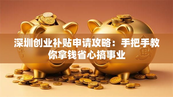 深圳创业补贴申请攻略：手把手教你拿钱省心搞事业