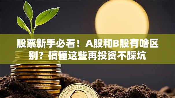 股票新手必看！A股和B股有啥区别？搞懂这些再投资不踩坑