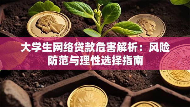 大学生网络贷款危害解析：风险防范与理性选择指南