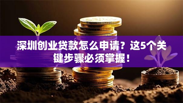 深圳创业贷款怎么申请？这5个关键步骤必须掌握！