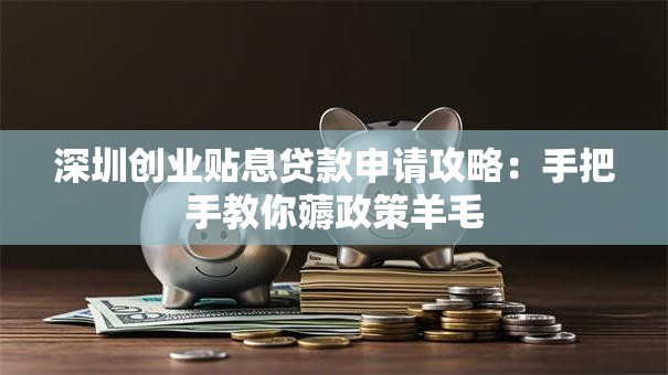深圳创业贴息贷款申请攻略：手把手教你薅政策羊毛