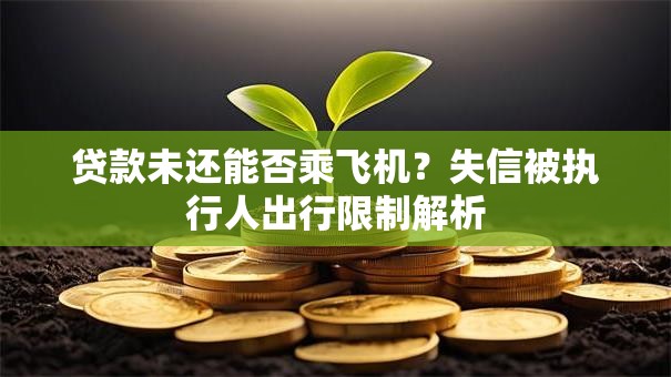 贷款未还能否乘飞机？失信被执行人出行限制解析