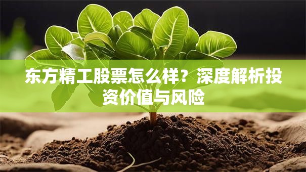 东方精工股票怎么样？深度解析投资价值与风险