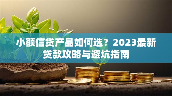小额信贷产品如何选？2023最新贷款攻略与避坑指南