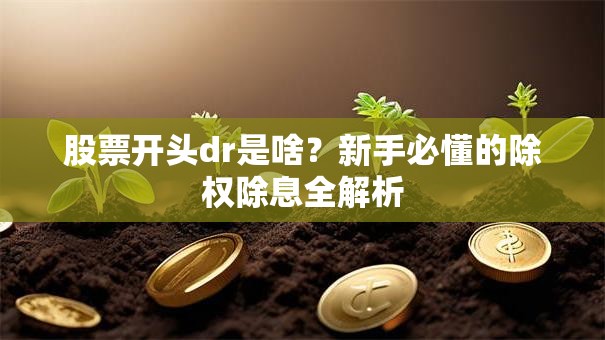 股票开头dr是啥？新手必懂的除权除息全解析