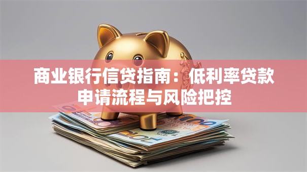 商业银行信贷指南：低利率贷款申请流程与风险把控