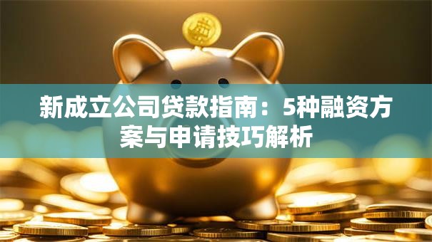 新成立公司贷款指南：5种融资方案与申请技巧解析