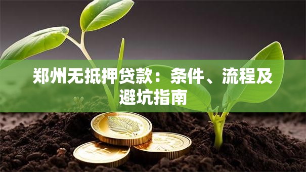 郑州无抵押贷款：条件、流程及避坑指南