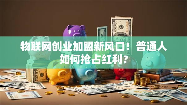 物联网创业加盟新风口！普通人如何抢占红利？