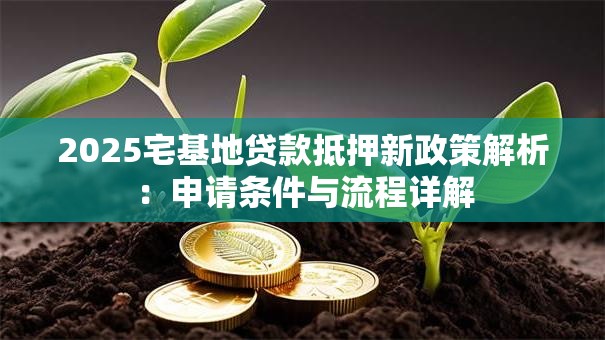 2025宅基地贷款抵押新政策解析：申请条件与流程详解