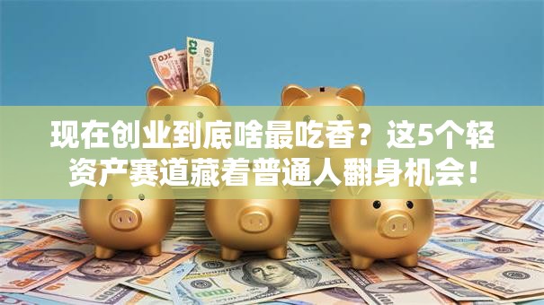 现在创业到底啥最吃香？这5个轻资产赛道藏着普通人翻身机会！