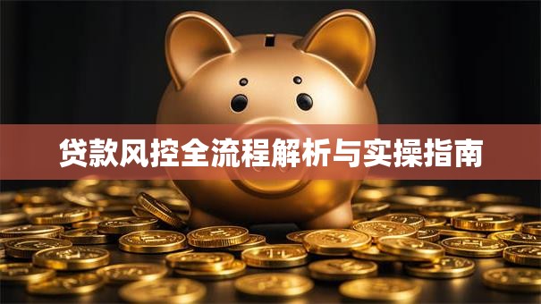贷款风控全流程解析与实操指南
