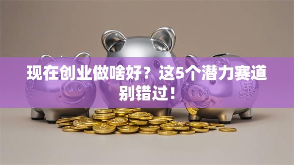 现在创业做啥好？这5个潜力赛道别错过！