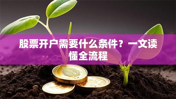 股票开户需要什么条件？一文读懂全流程