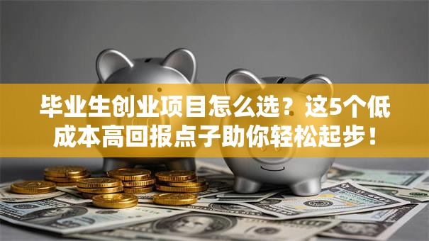 毕业生创业项目怎么选？这5个低成本高回报点子助你轻松起步！