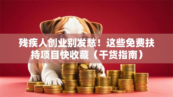 残疾人创业别发愁！这些免费扶持项目快收藏（干货指南）