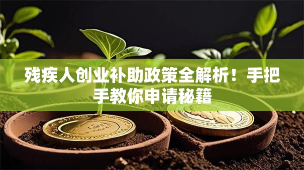 残疾人创业补助政策全解析！手把手教你申请秘籍