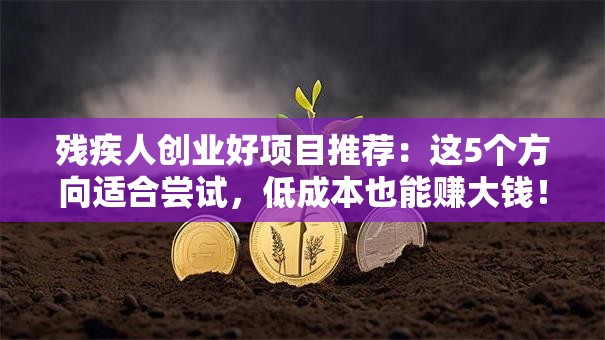 残疾人创业好项目推荐：这5个方向适合尝试，低成本也能赚大钱！