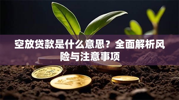 空放贷款是什么意思？全面解析风险与注意事项
