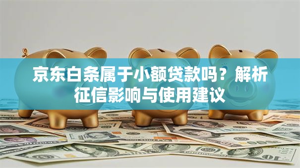京东白条属于小额贷款吗？解析征信影响与使用建议