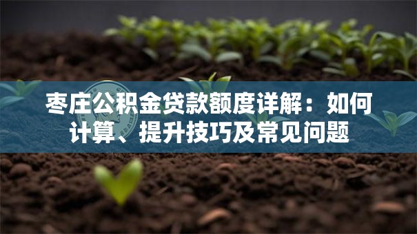 枣庄公积金贷款额度详解：如何计算、提升技巧及常见问题