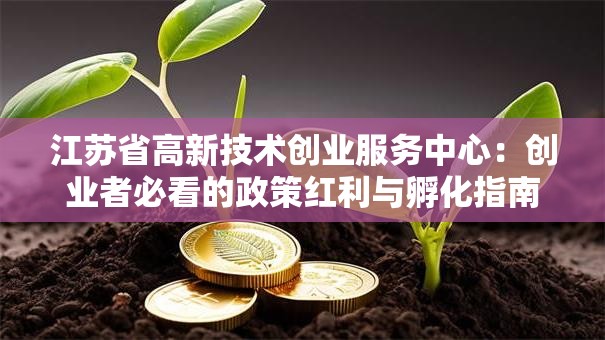 江苏省高新技术创业服务中心：创业者必看的政策红利与孵化指南