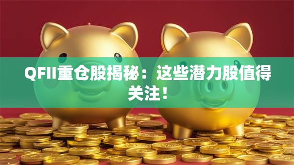 QFII重仓股揭秘：这些潜力股值得关注！