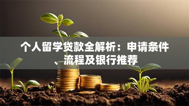 个人留学贷款全解析：申请条件、流程及银行推荐