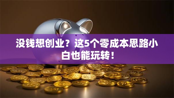 没钱想创业？这5个零成本思路小白也能玩转！