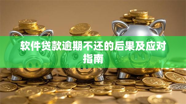 软件贷款逾期不还的后果及应对指南