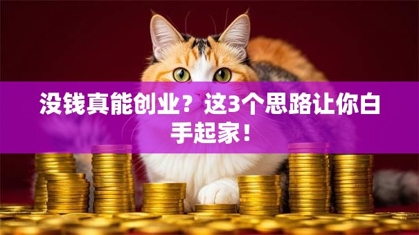 没钱真能创业？这3个思路让你白手起家！