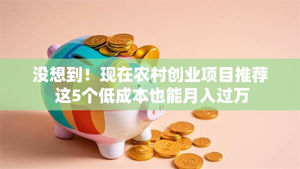 没想到！现在农村创业项目推荐 这5个低成本也能月入过万