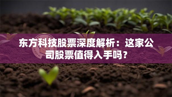 东方科技股票深度解析：这家公司股票值得入手吗？