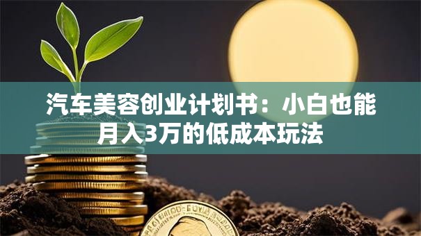 汽车美容创业计划书：小白也能月入3万的低成本玩法