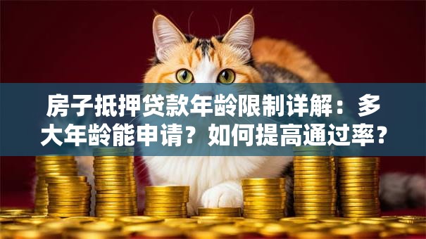 房子抵押贷款年龄限制详解：多大年龄能申请？如何提高通过率？