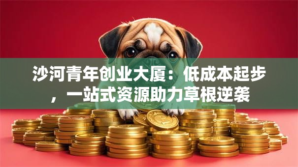 沙河青年创业大厦：低成本起步，一站式资源助力草根逆袭