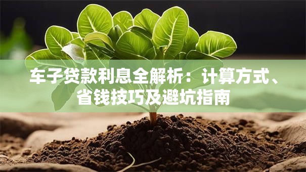 车子贷款利息全解析：计算方式、省钱技巧及避坑指南