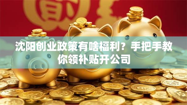 沈阳创业政策有啥福利？手把手教你领补贴开公司