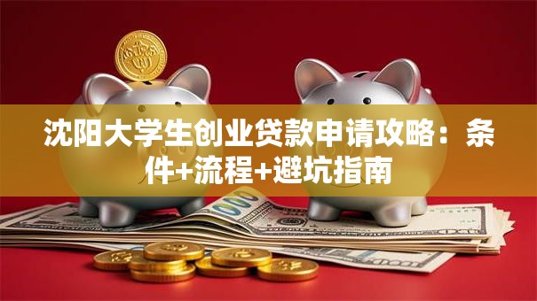 沈阳大学生创业贷款申请攻略：条件+流程+避坑指南