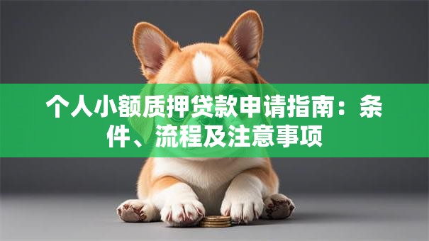 个人小额质押贷款申请指南：条件、流程及注意事项