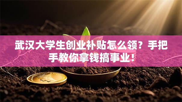武汉大学生创业补贴怎么领？手把手教你拿钱搞事业！