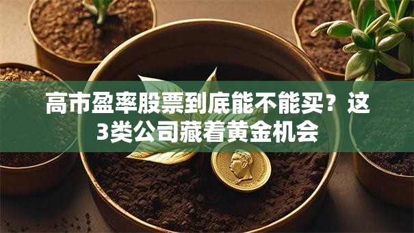 高市盈率股票到底能不能买？这3类公司藏着黄金机会